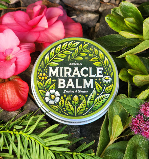 Zenvy Miracle Balm 1x Lower Back